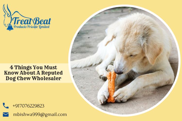 4 Things You Must Know About A Reputed Dog Chew Wholesaler